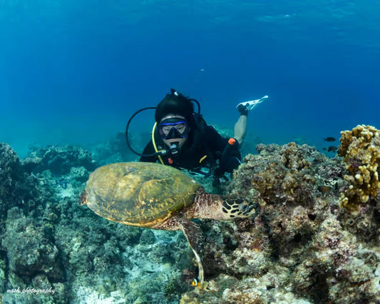 Mascate: Snorkel y buceo de prueba en las Islas Daymaniyat con almuerzo BBQ