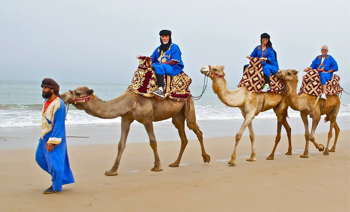 From Agadir: Kum Sörfü ve Deve Gezintili Çöl Turu