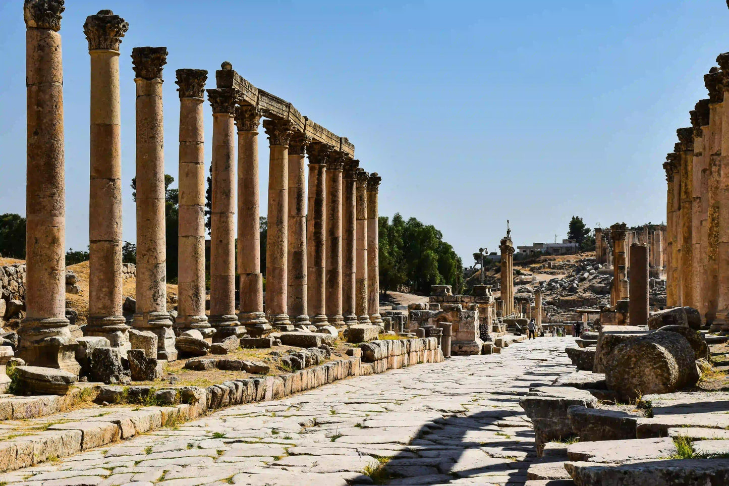 Amman: Private Half - Day Tour to the Ancient City of Jerash