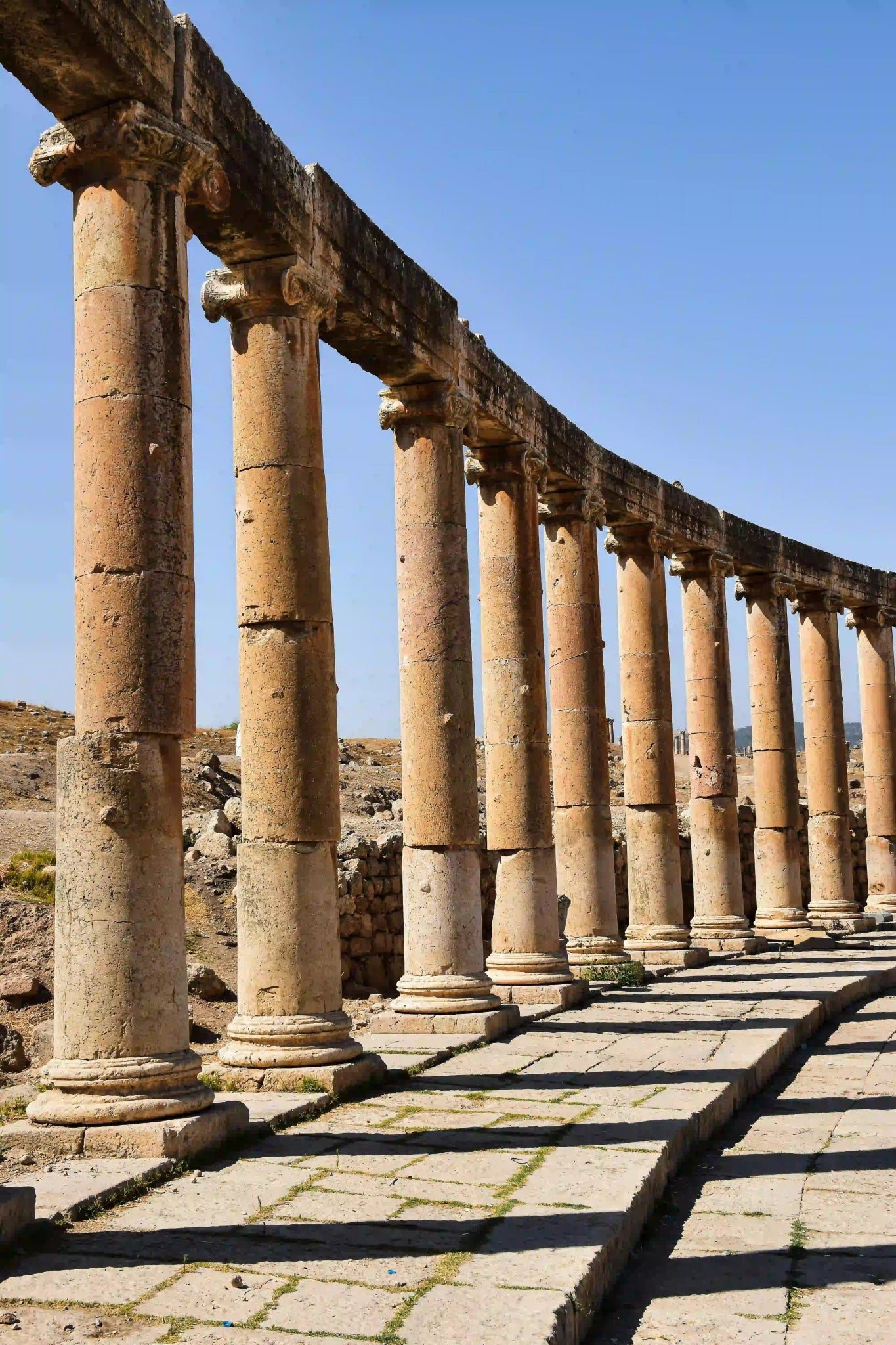 Amman: Private Half - Day Tour to the Ancient City of Jerash