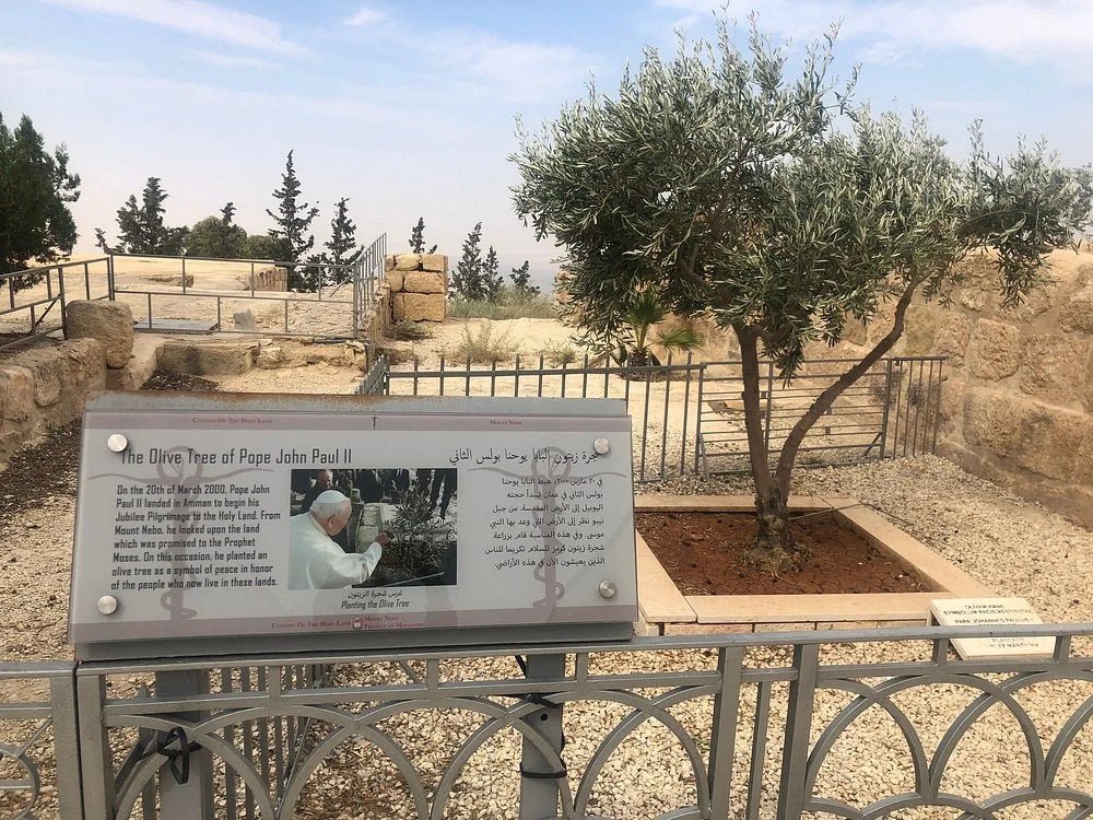 Amman: Private Tour to Madaba, Mount Nebo and Baptism Site