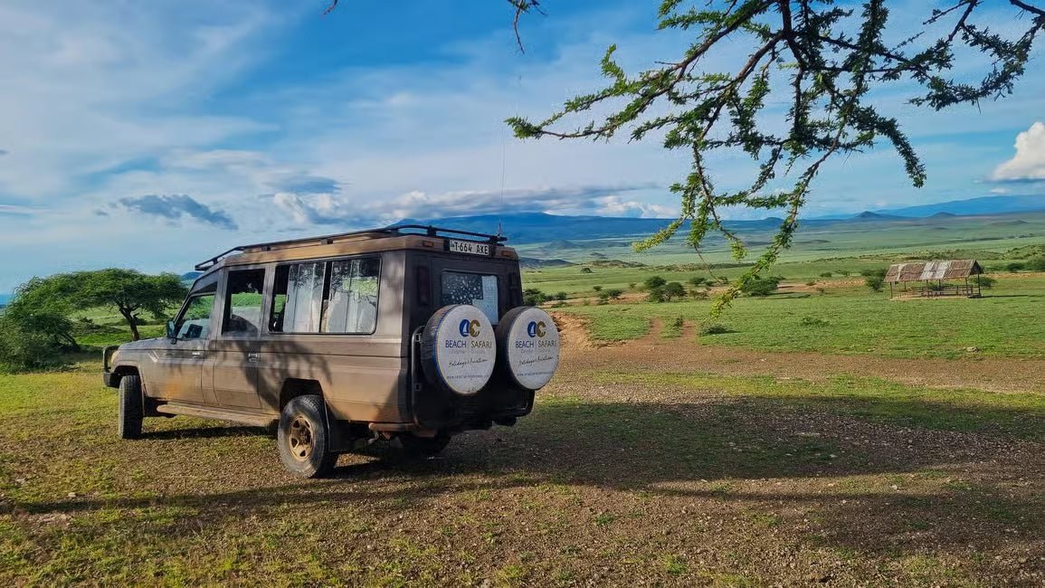 Arusha: Private Airport Transfer to/from Kilimanjaro (JRO)