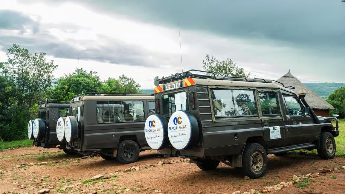 Arusha: Private Airport Transfer to/from Kilimanjaro (JRO)