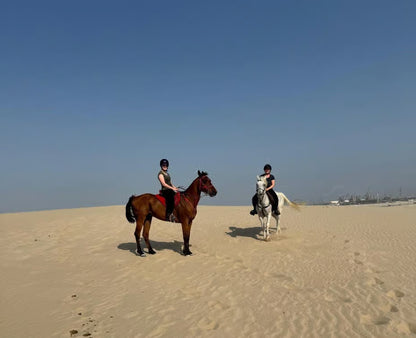 Doha: Reittour in der Sealine-Wüste