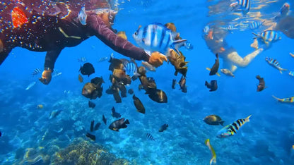 Bali: Blue Lagoon Snorkeling and Kanto Lampo Waterfall Adventure