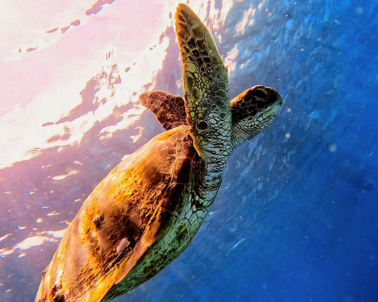 Bali: Blue Lagoon Snorkeling and Kanto Lampo Waterfall Adventure