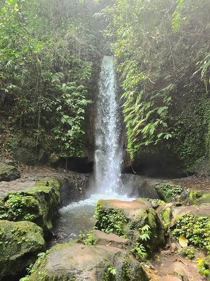 Bali: Horse Riding, Waterfall and Jungle Zip - Line Adventure