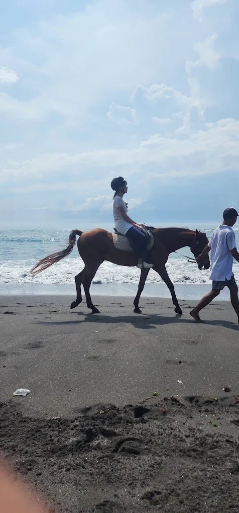 Bali: Horse Riding, Waterfall and Jungle Zip - Line Adventure