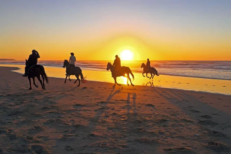 Bali: Horse Riding, Waterfall and Jungle Zip - Line Adventure