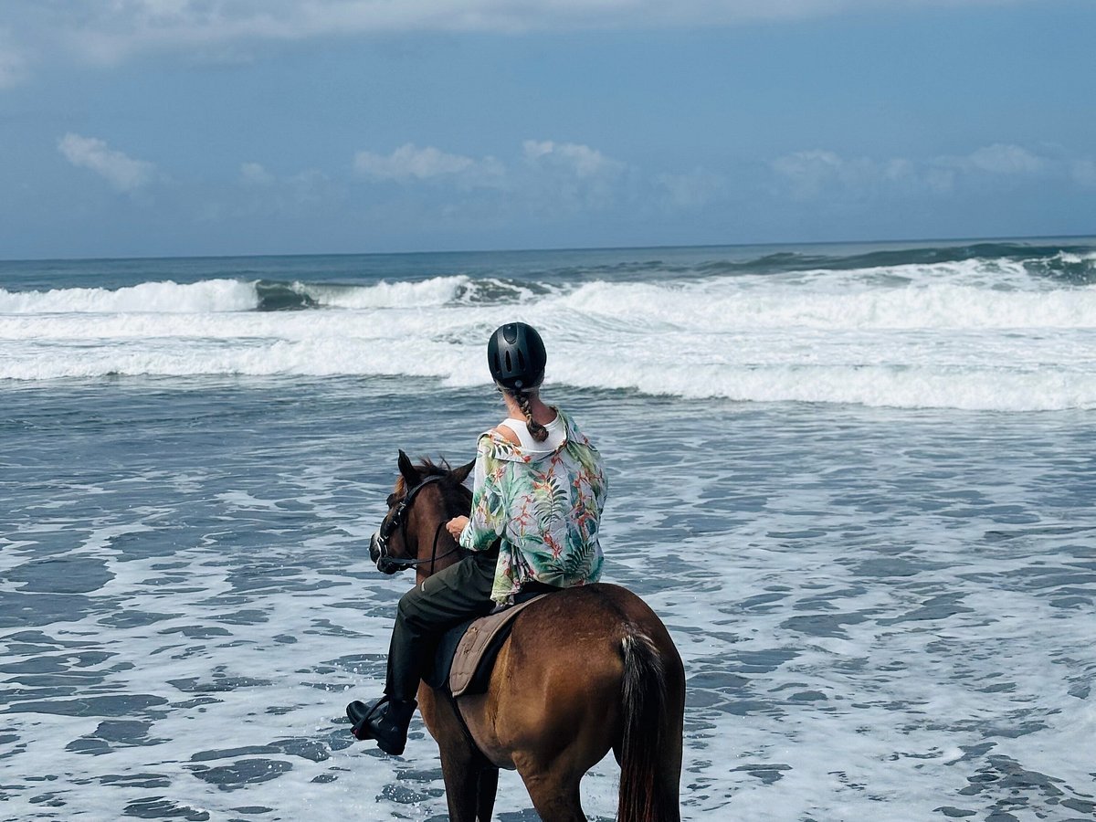 Bali: Horse Riding, Waterfall and Jungle Zip - Line Adventure