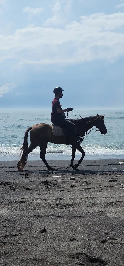 Bali: Horse Riding, Waterfall and Jungle Zip - Line Adventure