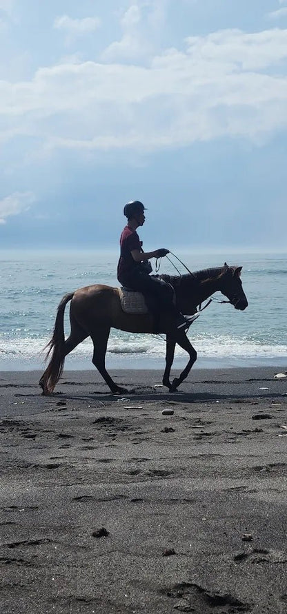 Bali: Horse Riding, Waterfall and Jungle Zip - Line Adventure