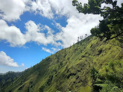 Bali: Mount Agung Sunrise Guided Trekking Tour