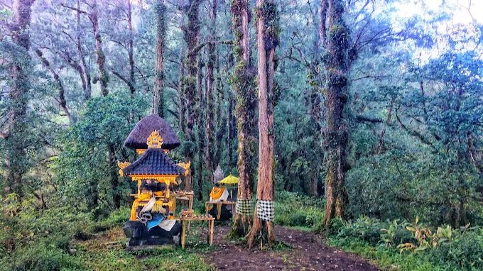 Bali: Mount Agung Sunrise Guided Trekking Tour