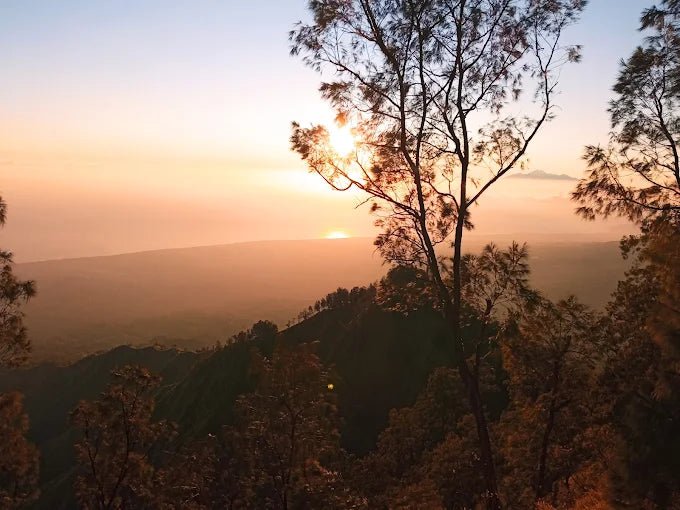 Bali: Mount Agung Sunrise Guided Trekking Tour