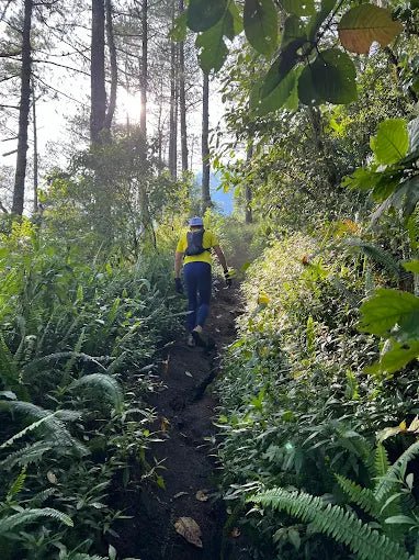 Bali: Mount Agung Sunrise Guided Trekking Tour