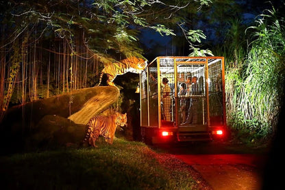 Bali: Private Guided Return Transfer for Night Safari