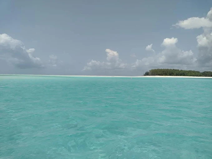 Zanzibar: Stone Town Coastal Cruise and Snorkeling Trip