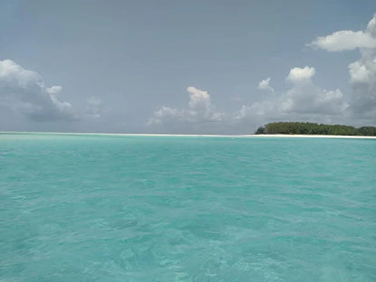 Zanzibar: Stone Town Coastal Cruise and Snorkeling Trip