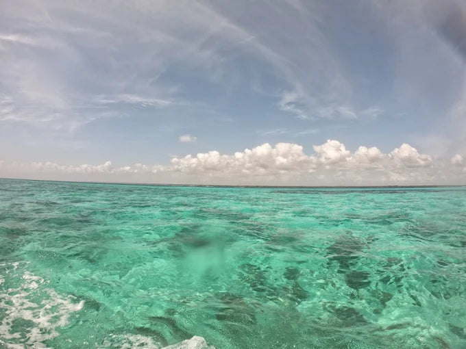 Zanzibar: Stone Town Coastal Cruise and Snorkeling Trip