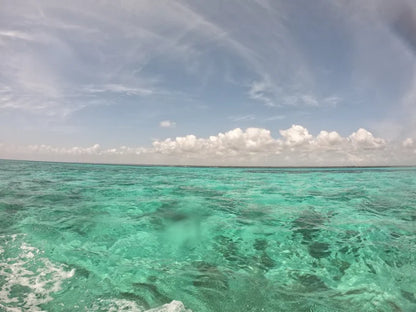 Zanzibar: Stone Town Coastal Cruise and Snorkeling Trip