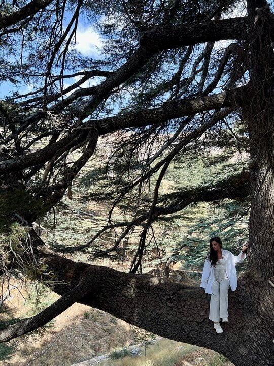 Von Beirut: Bcharre, Qadisha Valley & Cedars Tour