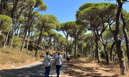 Desde Beirut: visita guiada a la cascada de Sidón, Mleeta y Jezzine