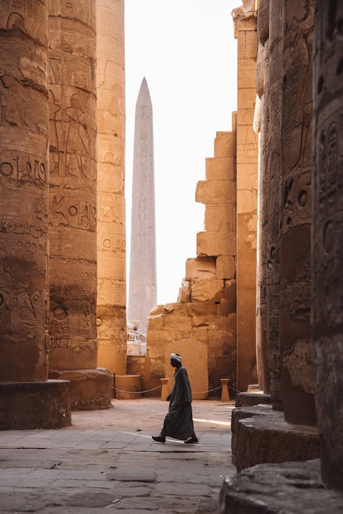 Cairo: Private All - Inclusive Luxor Day Trip by Flight
