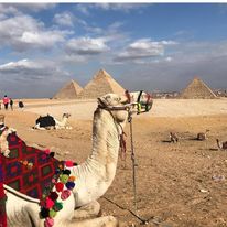 Cairo: Private Day Tour to the Pyramids of Giza and the Grand Egyptian Museum