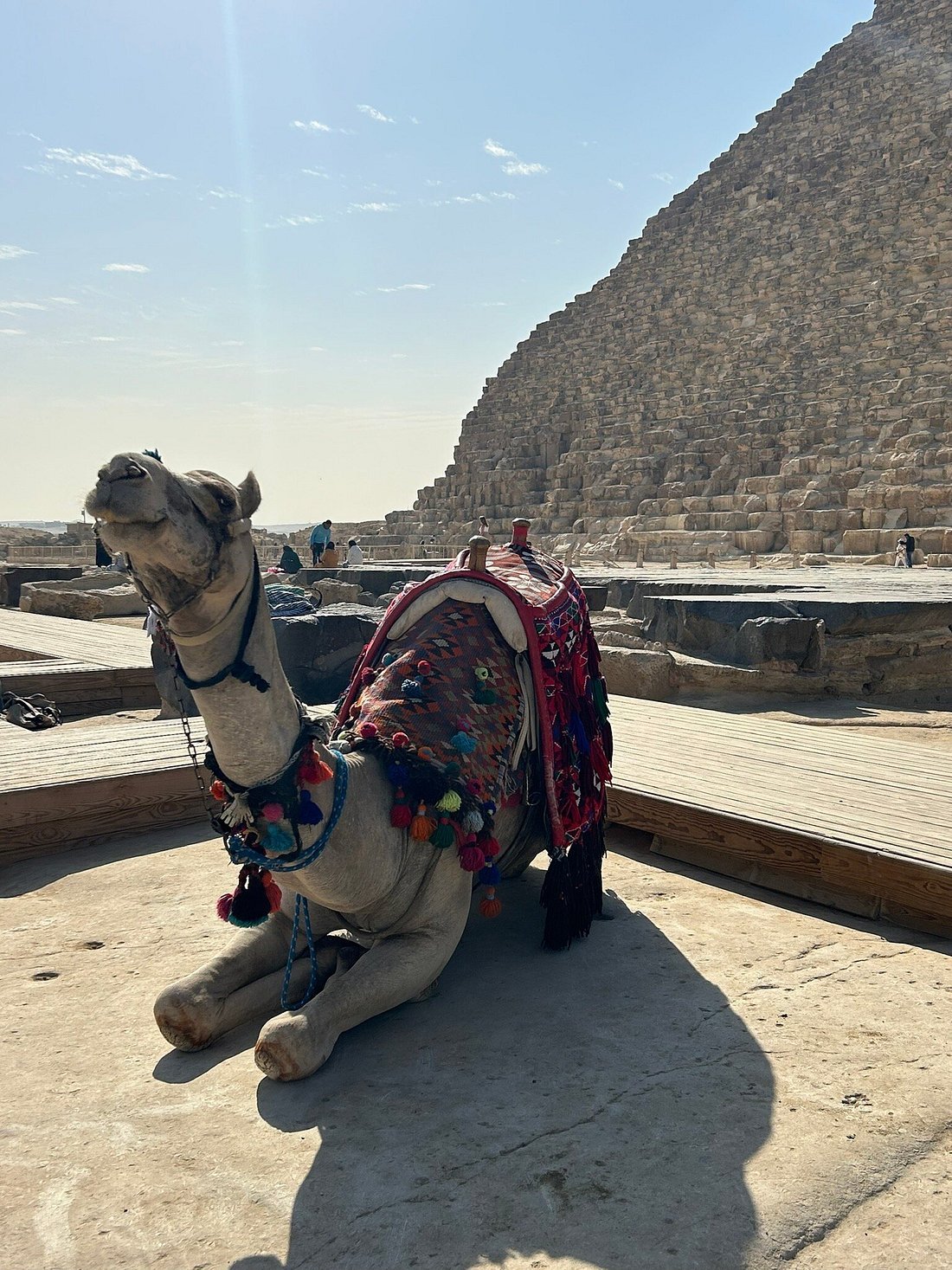 Cairo: Private Guided Trip to the Giza Pyramids and Sphinx