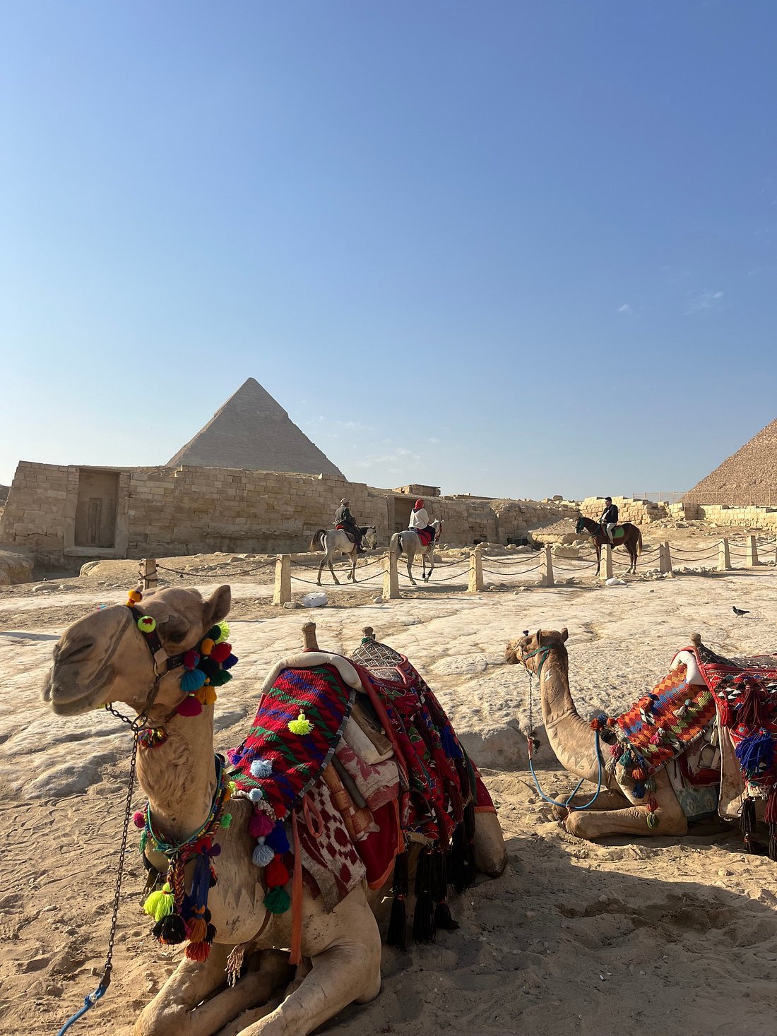 Cairo: Private Guided Trip to the Giza Pyramids and Sphinx