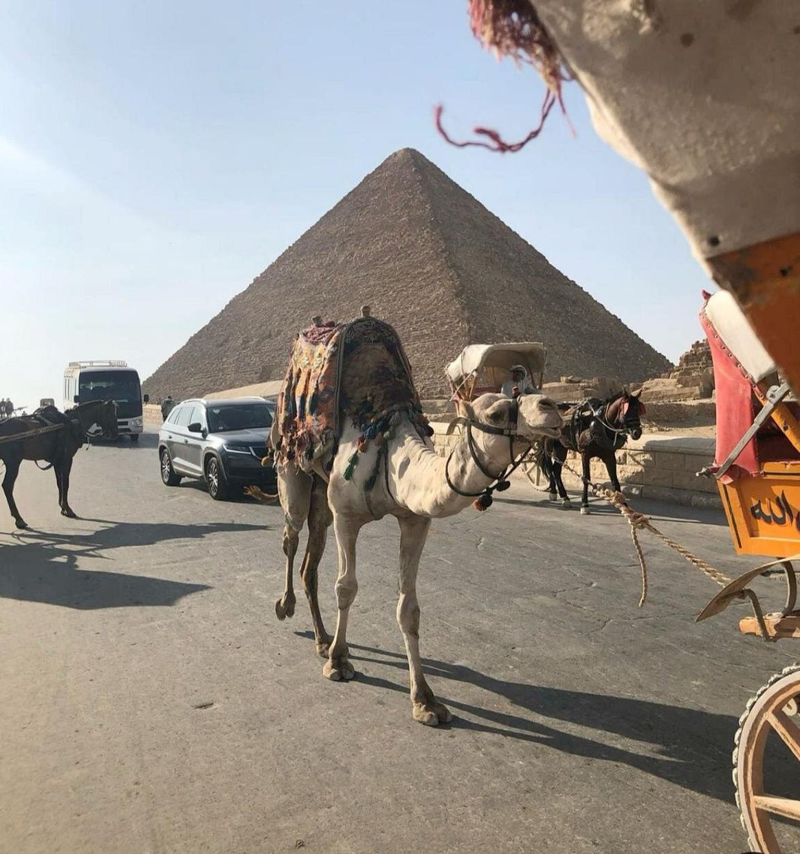 Cairo: Private Guided Trip to the Giza Pyramids and Sphinx