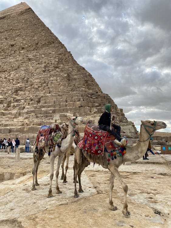 Cairo: Private Half - Day Pyramids of Giza and The Sphinx Tour