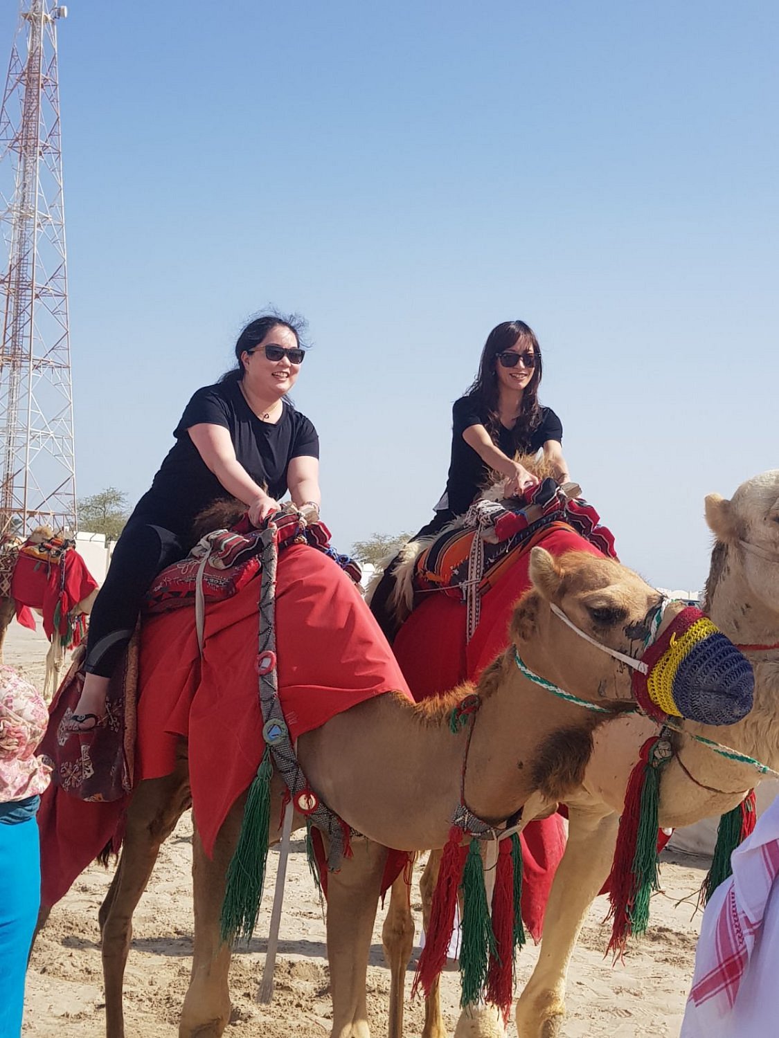 Doha: Safari no Deserto de Meio Dia, Sandboard e Tour Guiado pelo Mar Interior