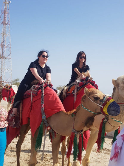 Doha: Safari no Deserto de Meio Dia, Sandboard e Tour Guiado pelo Mar Interior