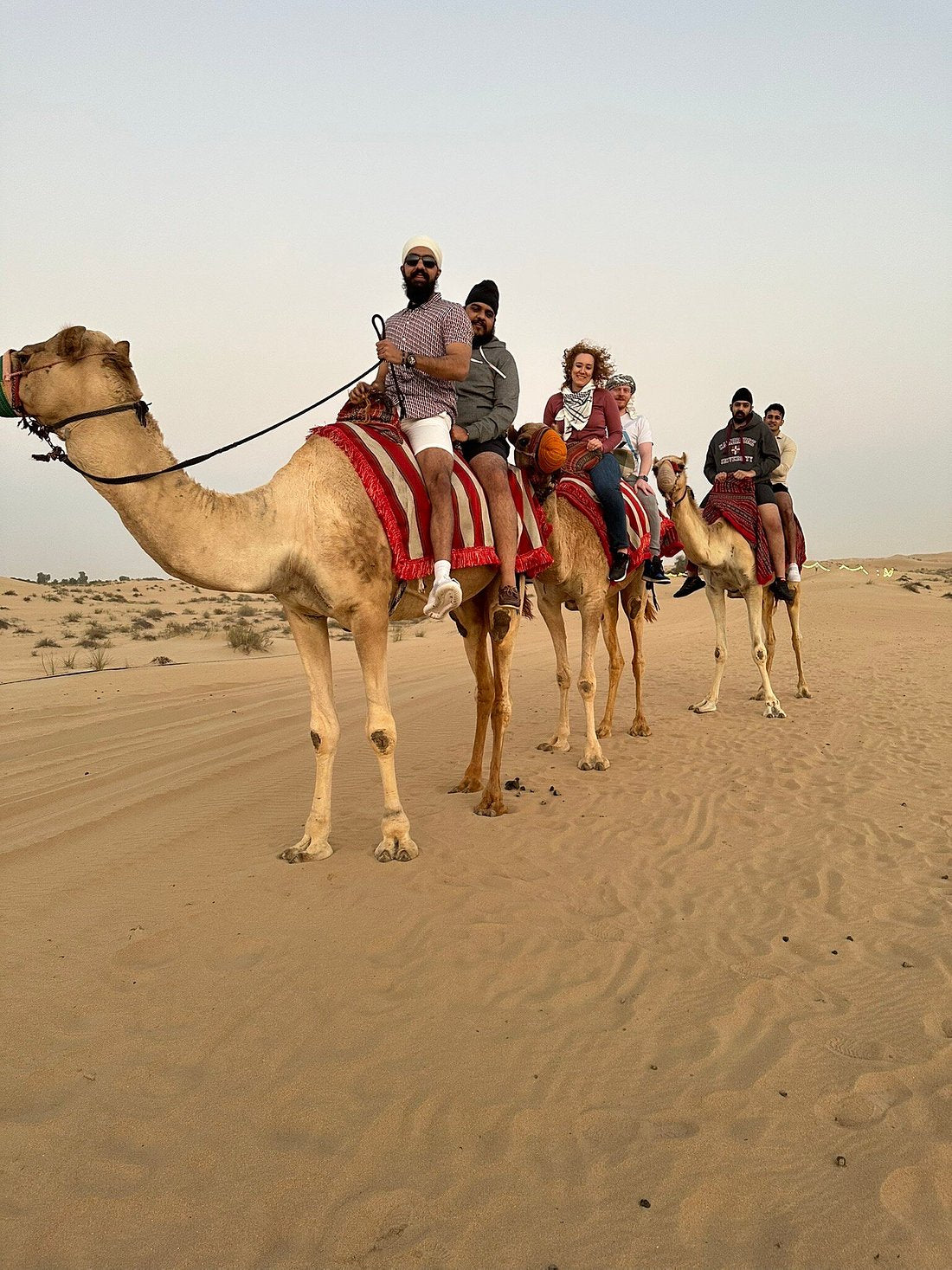 Dubai: Safari de meio dia no deserto, passeio nas dunas, sandboard e passeio de camelo