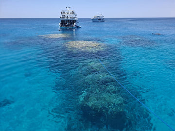 Şarm El Şeyh: Tiran Adası'na Botla Seyahat