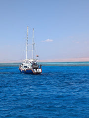Sharm El Sheikh: Escursione al Parco Nazionale di Ras Mohammed e Isola Bianca in Barca