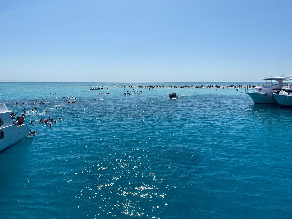Sharm El Sheikh: Excursion to Ras Mohammed National Park & White Island by Boat
