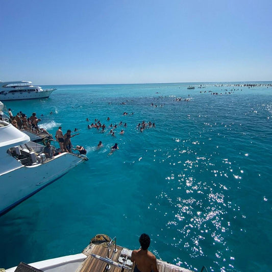 Sharm El Sheikh: excursão ao Parque Nacional Ras Mohammed e à Ilha Branca de barco