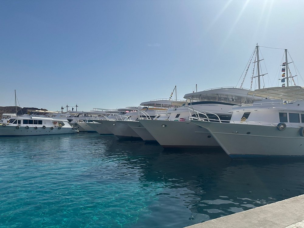 Sharm El Sheikh: Excursion to Ras Mohammed National Park & White Island by Boat