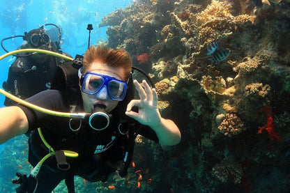 Sharm El Sheikh: Excursion to Ras Mohammed National Park & White Island by Boat