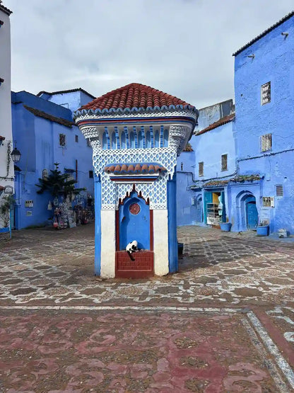 From Fès: Transfer nach Tanger mit Besuch in Chefchaouen