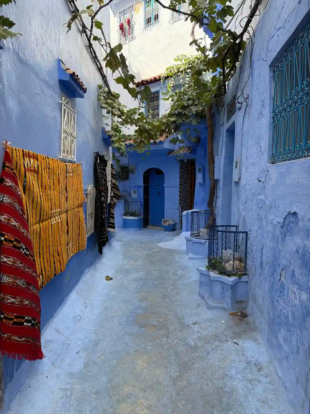 From Fès: Transfer nach Tanger mit Besuch in Chefchaouen