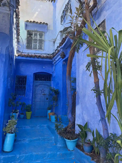 From Fès: Transfer nach Tanger mit Besuch in Chefchaouen