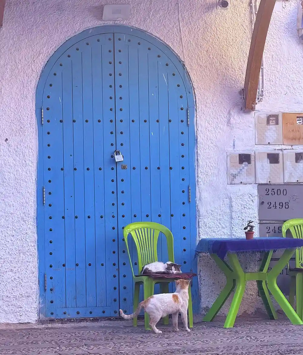 From Fès: Transfer nach Tanger mit Besuch in Chefchaouen
