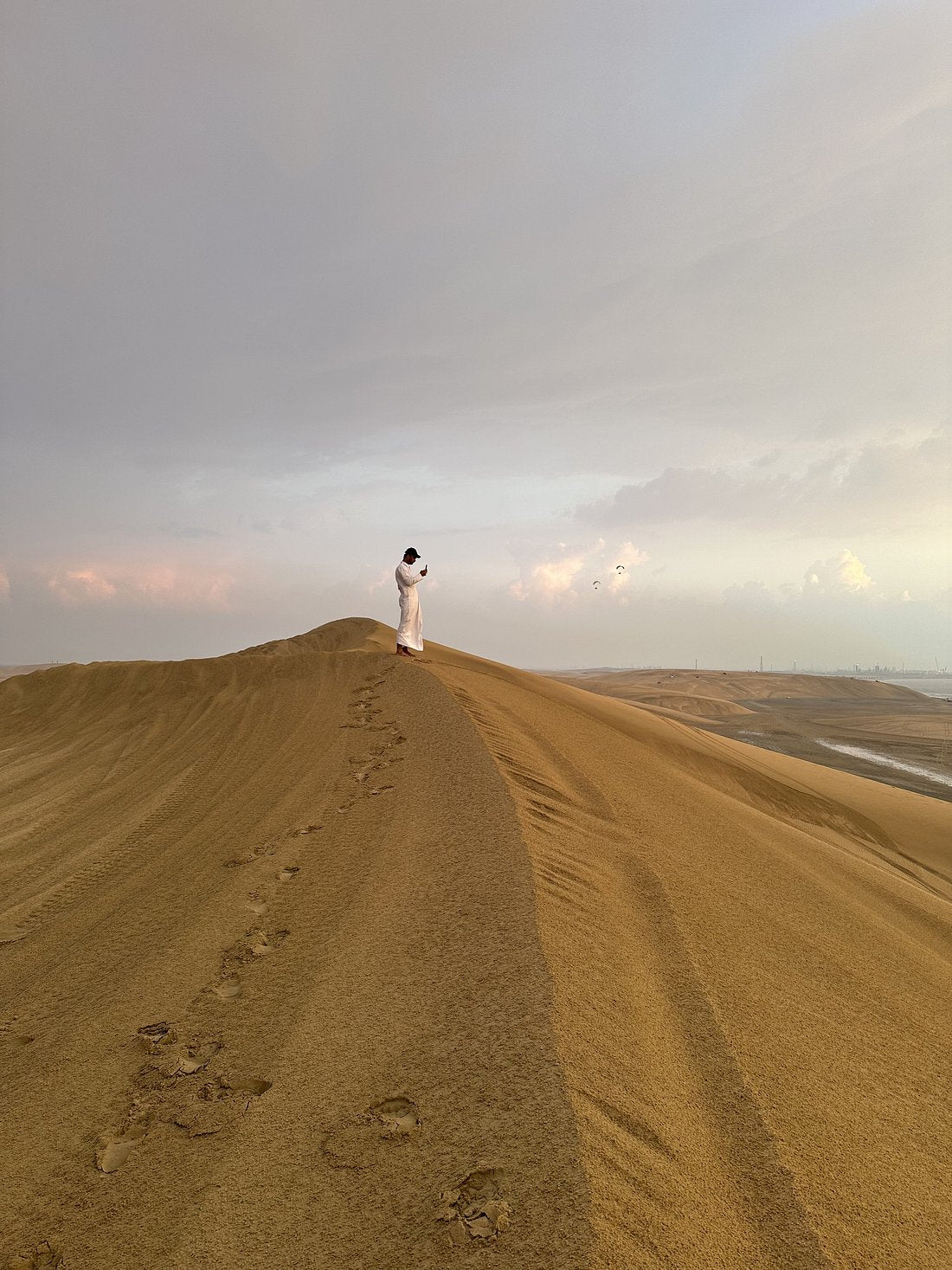 Doha : safari d'une journée dans le désert, exploration des dunes, excursion en mer intérieure et dîner barbecue