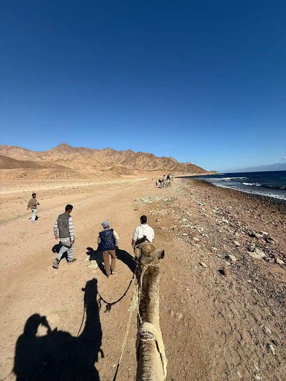 Sharm El Sheikh: Safari de Jipe 4x4 para Blue Hole, Canyon e Dahab