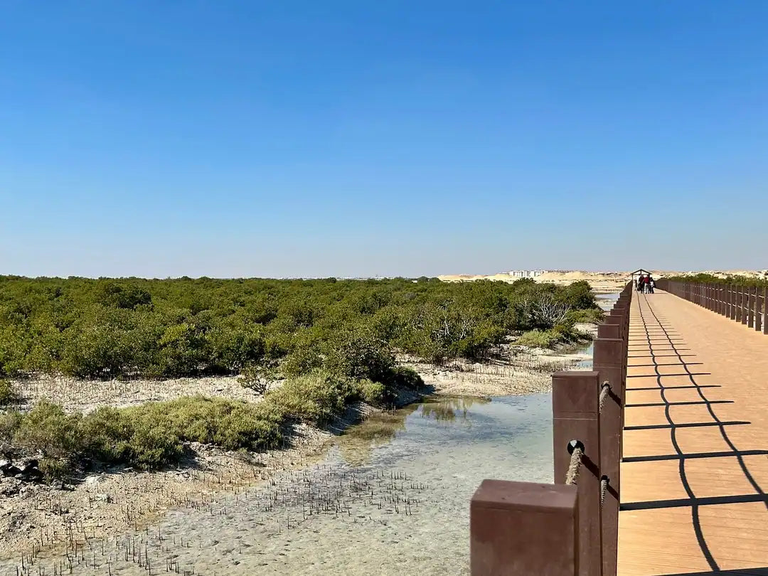 Doha: Heldags privat tur til Nord- og Vest-Qatar