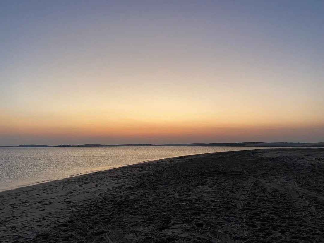 दोहा: डेजर्ट सफारी विद ड्यून बैशिंग, ऊंट की सवारी और सैंडबोर्डिंग